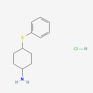 molecular formula C12H18ClNS B1473476 4-(Phenylsulfanyl)cyclohexan-1-amine hydrochloride CAS No. 1864063-37-5