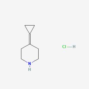 molecular formula C8H14ClN B1474155 4-环丙基亚烷基哌啶盐酸盐 CAS No. 1949816-35-6