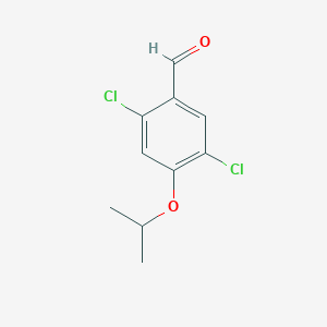 molecular formula C10H10Cl2O2 B1474245 2,5-二氯-4-异丙氧基苯甲醛 CAS No. 1707584-13-1