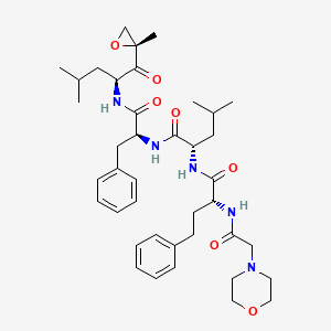 (2S)-4-methyl-N-[(2S)-1-[[(2S)-4-methyl-1-[(2R)-2-methyloxiran-2-yl]-1-oxopentan-2-yl]amino]-1-oxo-3-phenylpropan-2-yl]-2-[[(2R)-2-[(2-morpholin-4-ylacetyl)amino]-4-phenylbutanoyl]amino]pentanamide