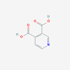 molecular formula C7H5NO4 B147513 吡啶-3,4-二羧酸 CAS No. 490-11-9