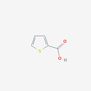molecular formula C5H4O2S B147515 2-噻吩甲酸 CAS No. 527-72-0