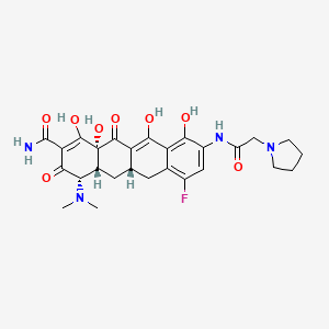 N-[(5aR,6aS,7S,10aS)-9-(aminocarbonyl)-7-(dimethylamino)-4-fluoro-5,5a,6,6a,7,10,10a,12-octahydro-1,8,10a,11-tetrahydroxy-10,12-dioxo-2-naphthacenyl]-1-pyrrolidineacetamide dihydrochloride