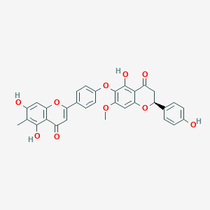 5,7-dihydroxy-2-[4-[[(2S)-5-hydroxy-2-(4-hydroxyphenyl)-7-methoxy-4-oxo-2,3-dihydrochromen-6-yl]oxy]phenyl]-6-methylchromen-4-one