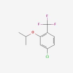 molecular formula C10H10ClF3O B14761702 4-Chloro-2-isopropoxy-1-(trifluoromethyl)benzene 