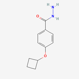 molecular formula C11H14N2O2 B14763523 4-Cyclobutoxybenzohydrazide 