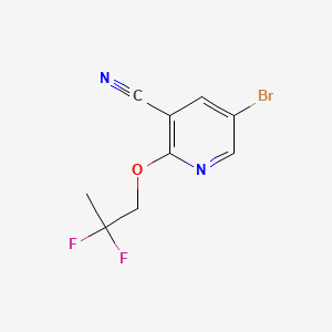 molecular formula C9H7BrF2N2O B14763918 5-Bromo-2-(2,2-difluoropropoxy)nicotinonitrile 