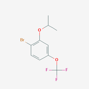 molecular formula C10H10BrF3O2 B14764211 1-Bromo-2-isopropoxy-4-(trifluoromethoxy)benzene 