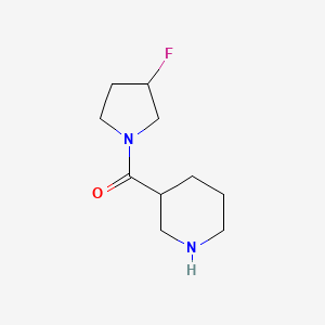 molecular formula C10H17FN2O B1476564 (3-氟吡咯烷-1-基)(哌啶-3-基)甲酮 CAS No. 2027794-57-4