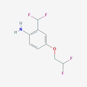 4-(2,2-Difluoroethoxy)-2-(difluoromethyl)aniline