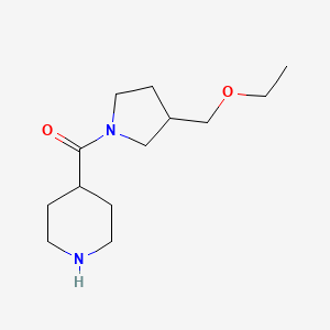 molecular formula C13H24N2O2 B1476827 (3-(乙氧甲基)吡咯烷-1-基)(哌啶-4-基)甲酮 CAS No. 2097984-14-8