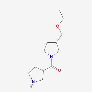 molecular formula C12H22N2O2 B1476855 （3-（乙氧甲基）吡咯烷-1-基）（吡咯烷-3-基）甲酮 CAS No. 2097990-94-6