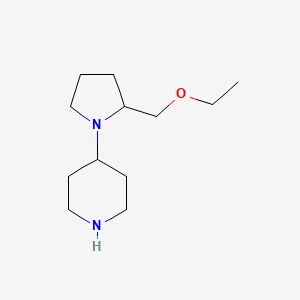 molecular formula C12H24N2O B1476866 4-(2-(乙氧甲基)吡咯烷-1-基)哌啶 CAS No. 2097991-48-3