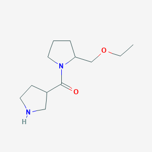 molecular formula C12H22N2O2 B1476893 (2-(Ethoxymethyl)pyrrolidin-1-yl)(pyrrolidin-3-yl)methanone CAS No. 2098079-00-4