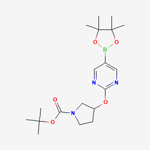 molecular formula C19H30BN3O5 B14768989 tert-Butyl 3-((5-(4,4,5,5-tetramethyl-1,3,2-dioxaborolan-2-yl)pyrimidin-2-yl)oxy)pyrrolidine-1-carboxylate 