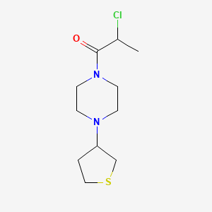 molecular formula C11H19ClN2OS B1476925 2-氯-1-(4-(四氢噻吩-3-基)哌嗪-1-基)丙انون CAS No. 2098082-15-4