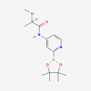 2-methoxy-N-[2-(4,4,5,5-tetramethyl-1,3,2-dioxaborolan-2-yl)pyridin-4-yl]propanamide