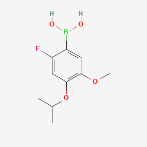 molecular formula C10H14BFO4 B14771686 (2-Fluoro-4-isopropoxy-5-methoxyphenyl)boronic acid 