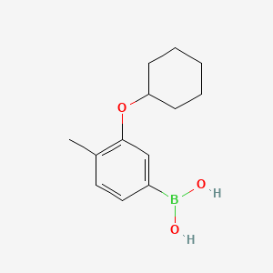 molecular formula C13H19BO3 B14771690 (3-(Cyclohexyloxy)-4-methylphenyl)boronic acid 