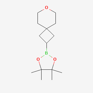 4,4,5,5-Tetramethyl-2-(7-oxaspiro[3.5]nonan-2-yl)-1,3,2-dioxaborolane