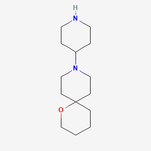 molecular formula C14H26N2O B1477190 9-(Piperidin-4-yl)-1-oxa-9-azaspiro[5.5]undecane CAS No. 2097995-02-1