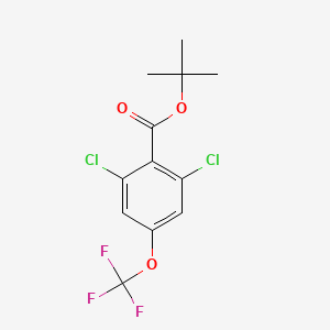 molecular formula C12H11Cl2F3O3 B14772142 t-Butyl 2,6-dichloro-4-(trifluoromethoxy)benZoate 