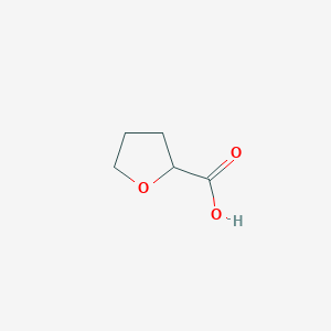 B147727 Tetrahydrofuran-2-carboxylic acid CAS No. 16874-33-2