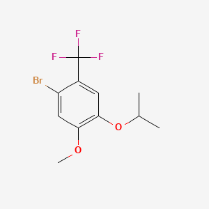 molecular formula C11H12BrF3O2 B14773910 1-Bromo-4-isopropoxy-5-methoxy-2-(trifluoromethyl)benzene 