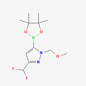 molecular formula C12H19BF2N2O3 B14773925 3-(difluoromethyl)-1-(methoxymethyl)-5-(4,4,5,5-tetramethyl-1,3,2-dioxaborolan-2-yl)pyrazole 