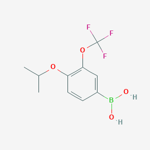 molecular formula C10H12BF3O4 B14774162 4-Isopropoxy-3-trifluoromethoxyphenylboronic acid 