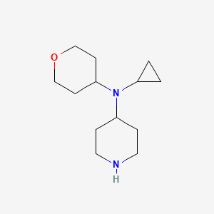molecular formula C13H24N2O B1477426 N-cyclopropyl-N-(tetrahydro-2H-pyran-4-yl)piperidin-4-amine CAS No. 2098080-94-3