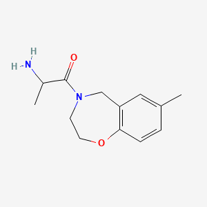 molecular formula C13H18N2O2 B1477443 2-amino-1-(7-methyl-2,3-dihydrobenzo[f][1,4]oxazepin-4(5H)-yl)propan-1-one CAS No. 2097944-27-7