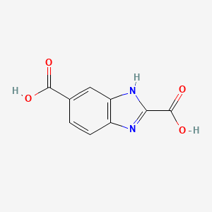 molecular formula C9H6N2O4 B14775228 1H-Benzo[d]imidazole-2,5-dicarboxylic acid 