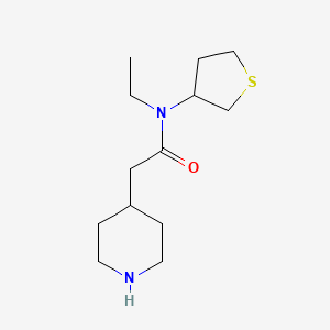 N-ethyl-2-(piperidin-4-yl)-N-(tetrahydrothiophen-3-yl)acetamide