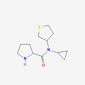 N-cyclopropyl-N-(tetrahydrothiophen-3-yl)pyrrolidine-2-carboxamide