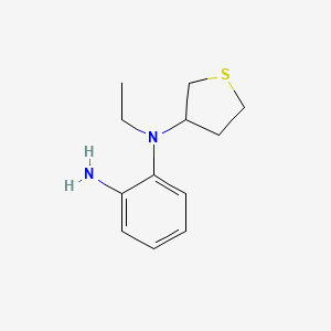 molecular formula C12H18N2S B1477599 N1-ethyl-N1-(tetrahydrothiophen-3-yl)benzene-1,2-diamine CAS No. 2029528-65-0