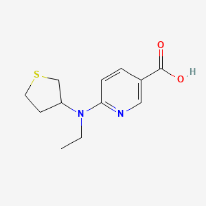 molecular formula C12H16N2O2S B1477600 6-(乙基(四氢噻吩-3-基)氨基)烟酸 CAS No. 2097956-65-3