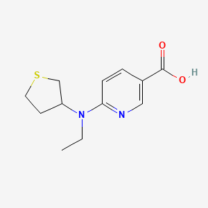 molecular formula C12H16N2O2S B1477600 6-(エチル(テトラヒドロチオフェン-3-イル)アミノ)ニコチン酸 CAS No. 2097956-65-3