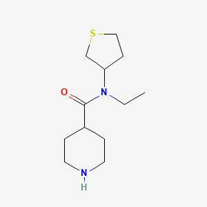 molecular formula C12H22N2OS B1477625 N-ethyl-N-(tetrahydrothiophen-3-yl)piperidine-4-carboxamide CAS No. 2091221-80-4