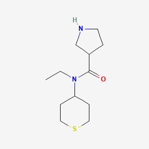 molecular formula C12H22N2OS B1477631 N-ethyl-N-(tetrahydro-2H-thiopyran-4-yl)pyrrolidine-3-carboxamide CAS No. 2091698-55-2