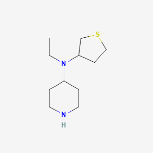molecular formula C11H22N2S B1477642 N-ethyl-N-(tetrahydrothiophen-3-yl)piperidin-4-amine CAS No. 2008575-78-6