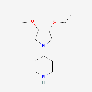 molecular formula C12H24N2O2 B1477648 4-(3-Ethoxy-4-methoxypyrrolidin-1-yl)piperidine CAS No. 2098044-47-2