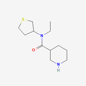 molecular formula C12H22N2OS B1477660 N-ethyl-N-(tetrahydrothiophen-3-yl)piperidine-3-carboxamide CAS No. 2097984-59-1