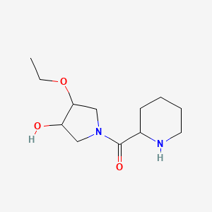molecular formula C12H22N2O3 B1477682 (3-乙氧基-4-羟基吡咯烷-1-基)(哌啶-2-基)甲酮 CAS No. 2097948-48-4
