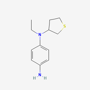 molecular formula C12H18N2S B1477686 N1-ethyl-N1-(tetrahydrothiophen-3-yl)benzene-1,4-diamine CAS No. 2008576-11-0