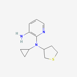 molecular formula C12H17N3S B1477689 N2-cyclopropyl-N2-(tetrahydrothiophen-3-yl)pyridine-2,3-diamine CAS No. 2097955-80-9