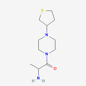 molecular formula C11H21N3OS B1477748 2-Amino-1-(4-(tetrahydrothiophen-3-yl)piperazin-1-yl)propan-1-one CAS No. 1588626-81-6