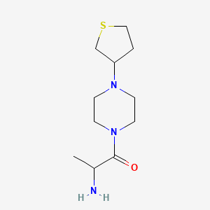 molecular formula C11H21N3OS B1477748 2-氨基-1-(4-(四氢噻吩-3-基)哌嗪-1-基)丙-1-酮 CAS No. 1588626-81-6