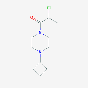 molecular formula C11H19ClN2O B1477758 2-Chloro-1-(4-cyclobutylpiperazin-1-yl)propan-1-one CAS No. 1873449-10-5