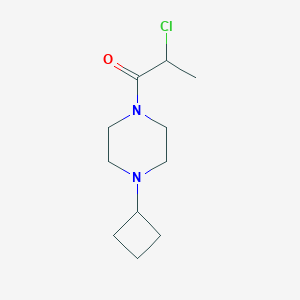 molecular formula C11H19ClN2O B1477758 2-氯-1-(4-环丁基哌嗪-1-基)丙酮 CAS No. 1873449-10-5